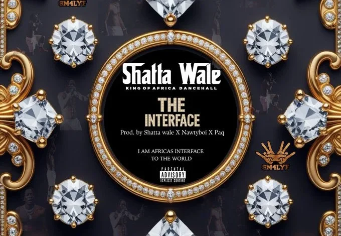 Shatta wale - Auto pilot