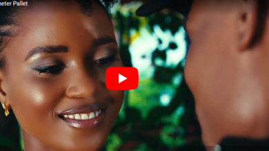 Diameter Pallet – Fala