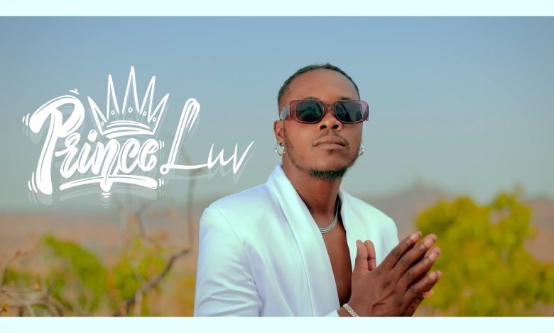 Prince Luv Ft. Frank Ro – Move On