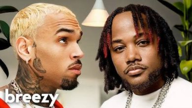 Chris Brown - Fallin Mp3 Download