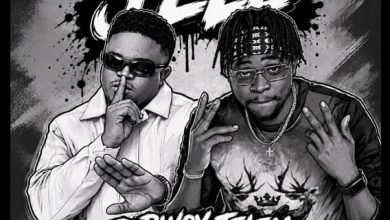 D Bwoy Telem ft. Flex Eurly – Jele Mp3 Download